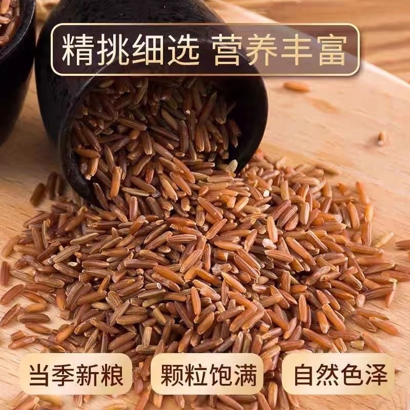 红糙米大量现货保质保量量大从优欢迎选购
