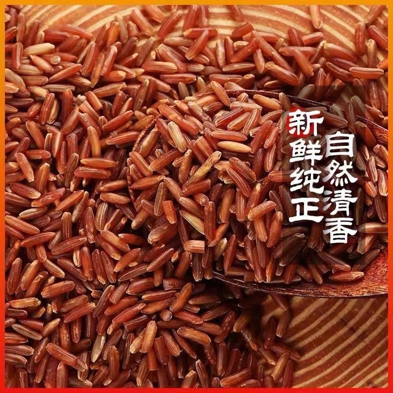红糙米大量现货保质保量量大从优欢迎选购