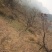 河北涉县无核黑枣涉县产地特产可对接批发市场商超