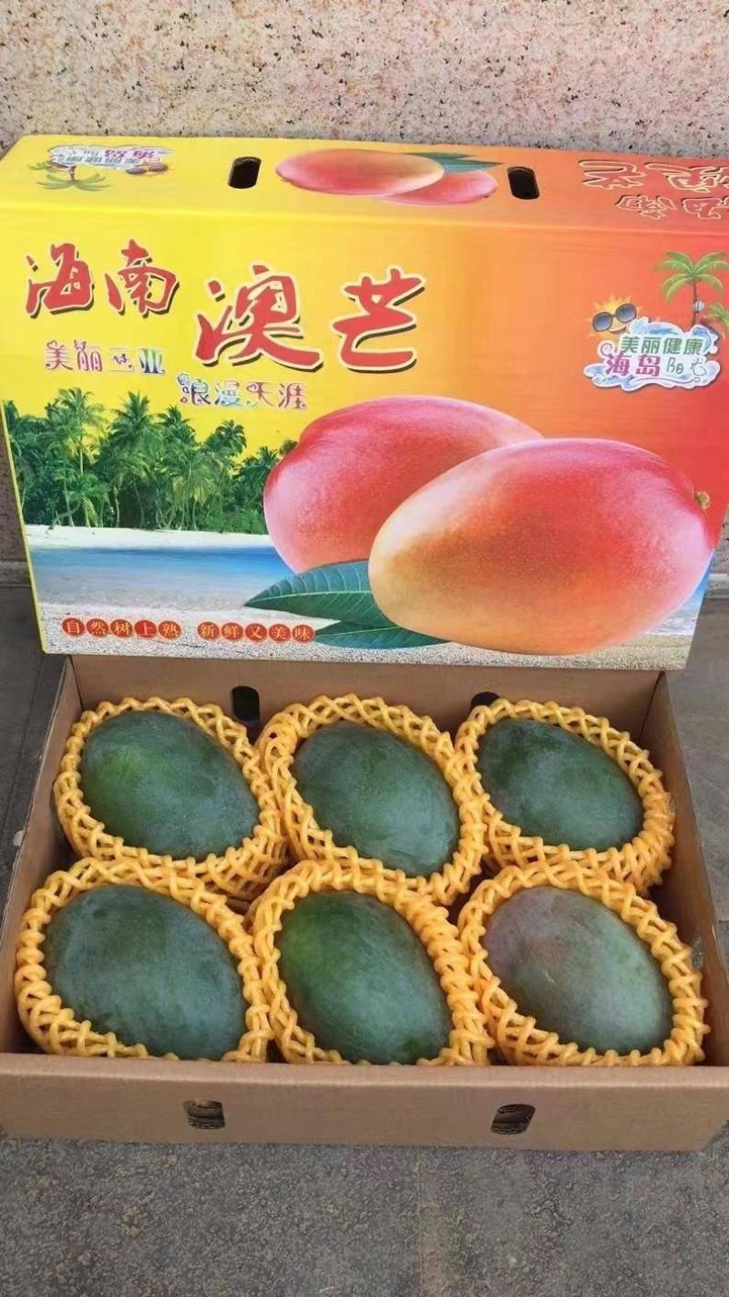 一件代发【海南青皮澳芒】-招代理