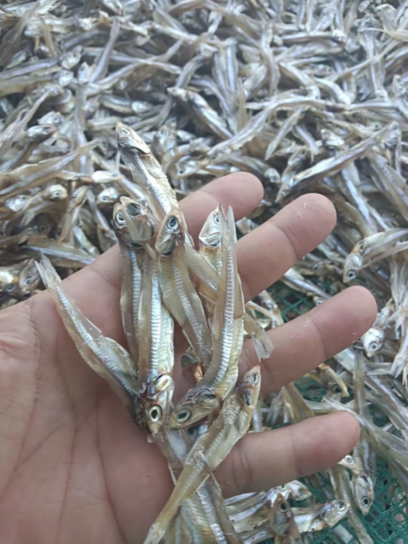 北海鱼干/公鱼干
