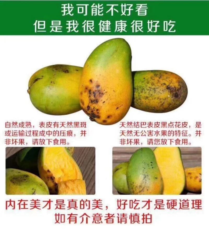 【招代理】海南小台芒芒果9斤装新鲜采摘芒果一件代发