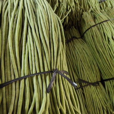 精选新鲜豇豆新鲜广东长豆角批发长豆角缸豆现摘蔬菜淹酸豆角