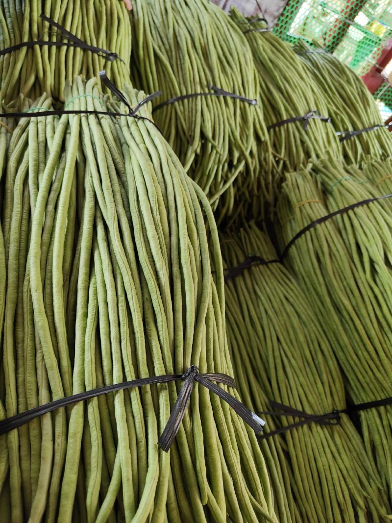 精选新鲜豇豆新鲜广东长豆角批发长豆角缸豆现摘蔬菜淹酸豆角