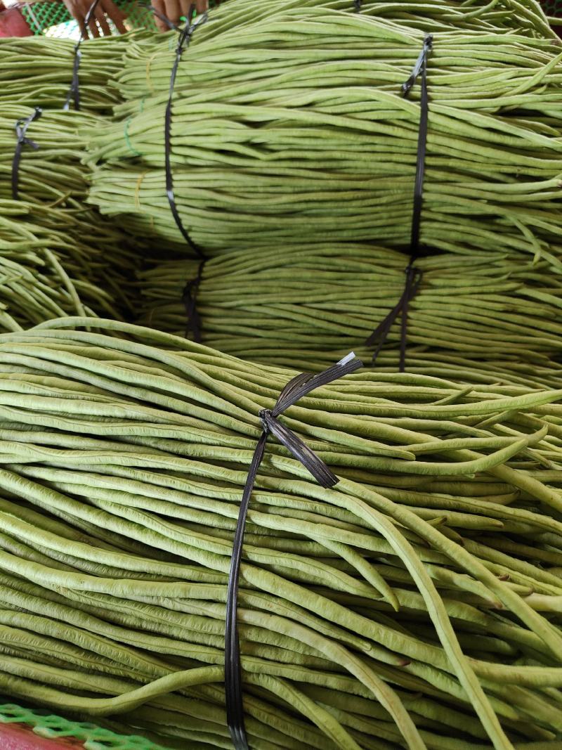 精选新鲜豇豆新鲜广东长豆角批发长豆角缸豆现摘蔬菜淹酸豆角