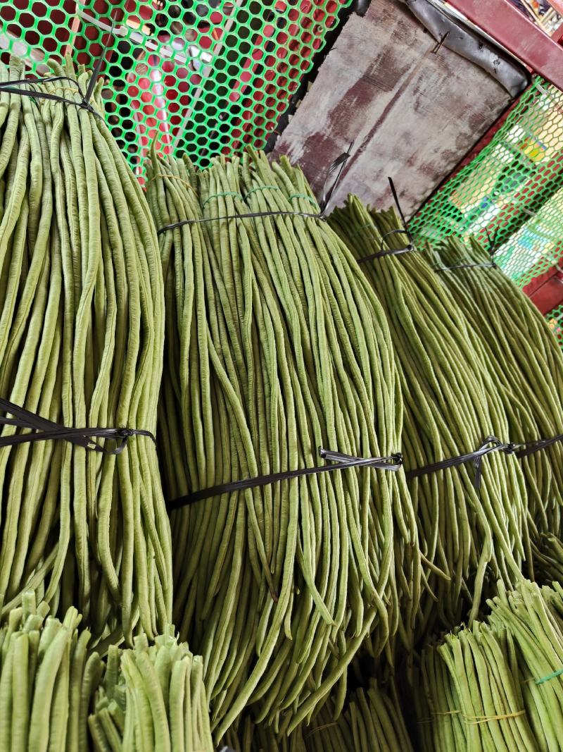 精选新鲜豇豆新鲜广东长豆角批发长豆角缸豆现摘蔬菜淹酸豆角