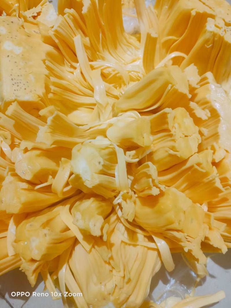 【一件代发】黄肉菠萝蜜（三亚优质产区）