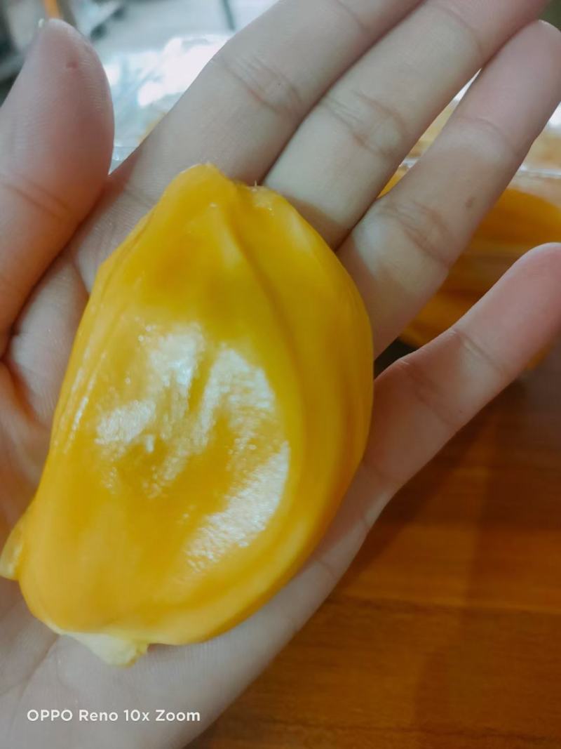 【一件代发】黄肉菠萝蜜（三亚优质产区）