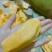【一件代发】黄肉菠萝蜜（三亚优质产区）