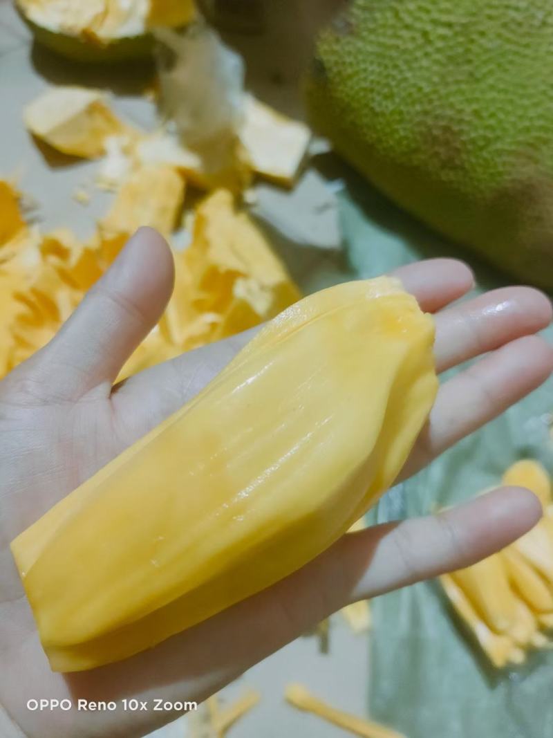 【一件代发】黄肉菠萝蜜（三亚优质产区）