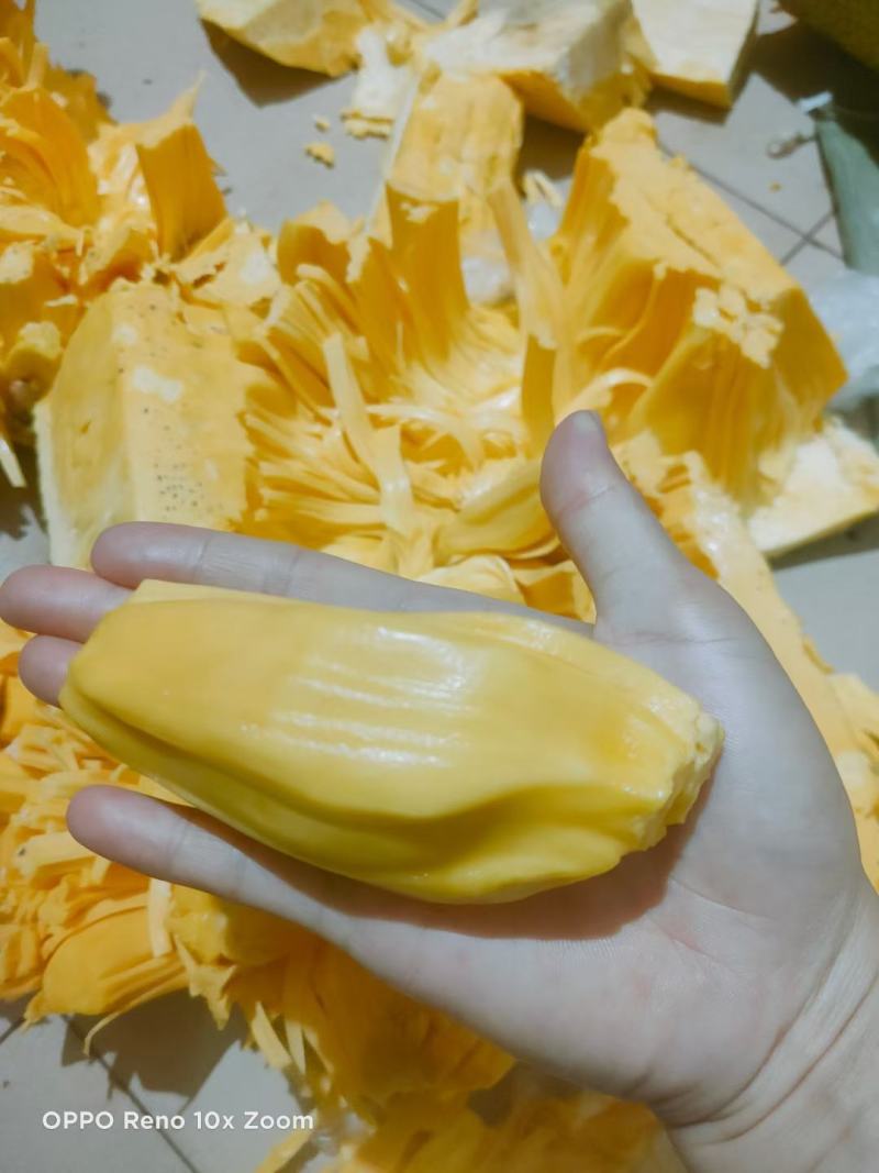 【一件代发】黄肉菠萝蜜（三亚优质产区）