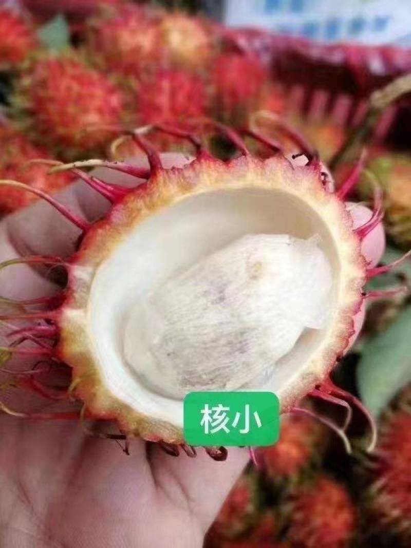 【一件代发】海南保亭红毛丹-精选7号果