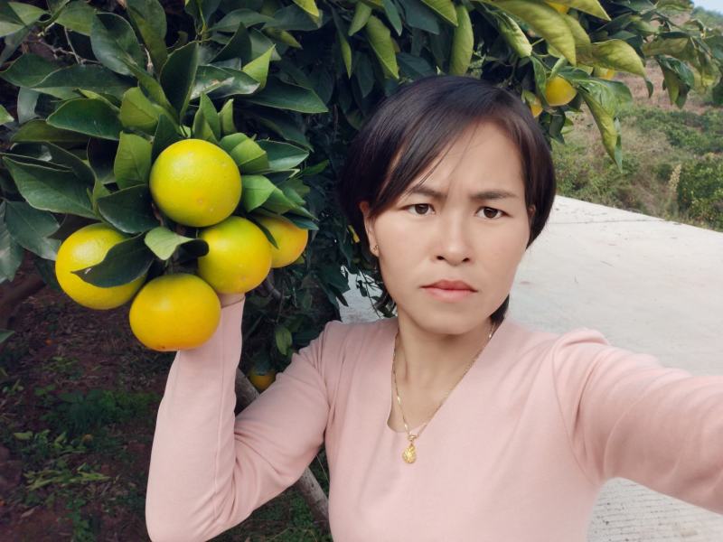 麻阳冰糖橙，基地直发，对接社区团购电商平台，货源充足