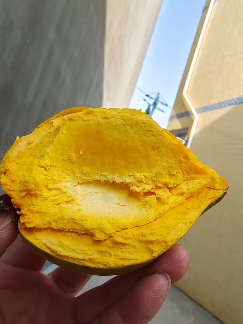 【一件代发】海南保亭鸡蛋果-（树上熟老树果）