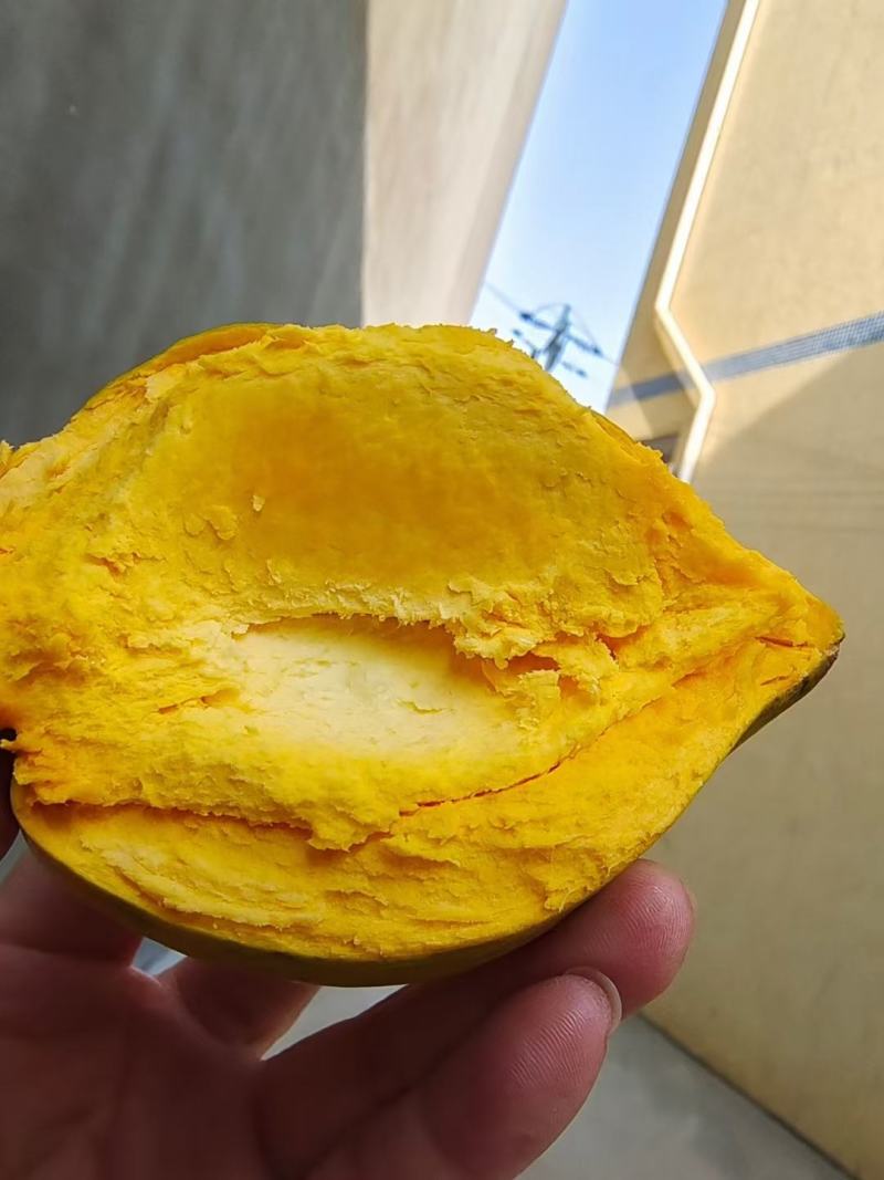 【一件代发】海南保亭鸡蛋果-（树上熟老树果）