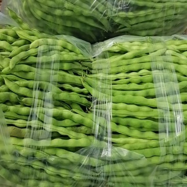 棒豆无筋豆开始上市了，欢迎超市渠道电商市场对接，量大从