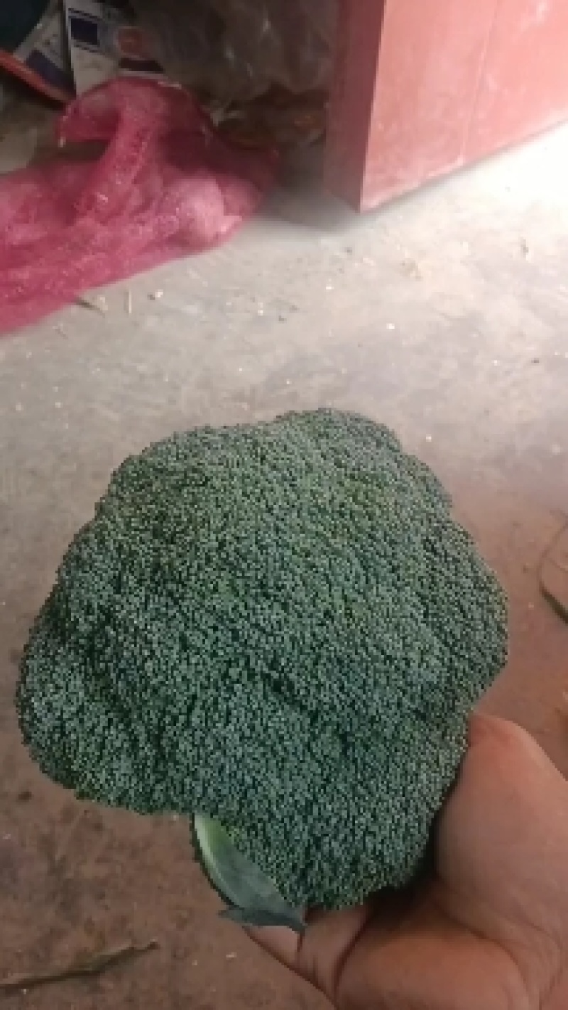 西兰花岀售