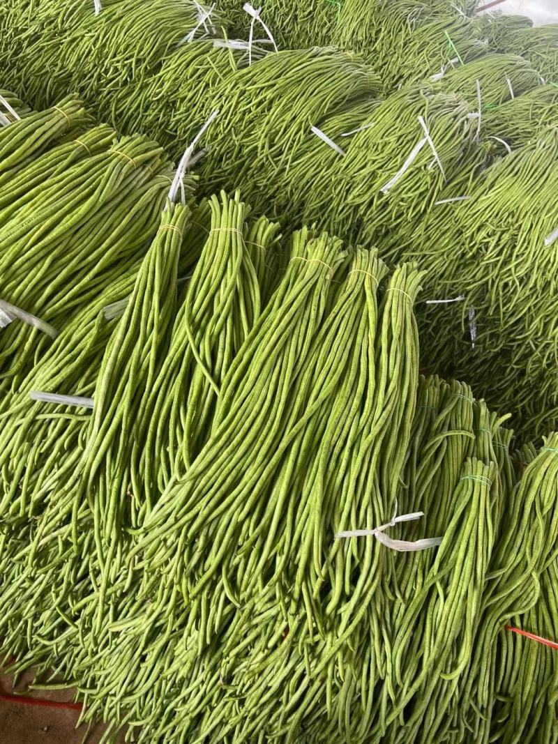 精选新鲜豇豆新鲜广东长豆角批发长豆角缸豆现摘蔬菜淹酸豆角