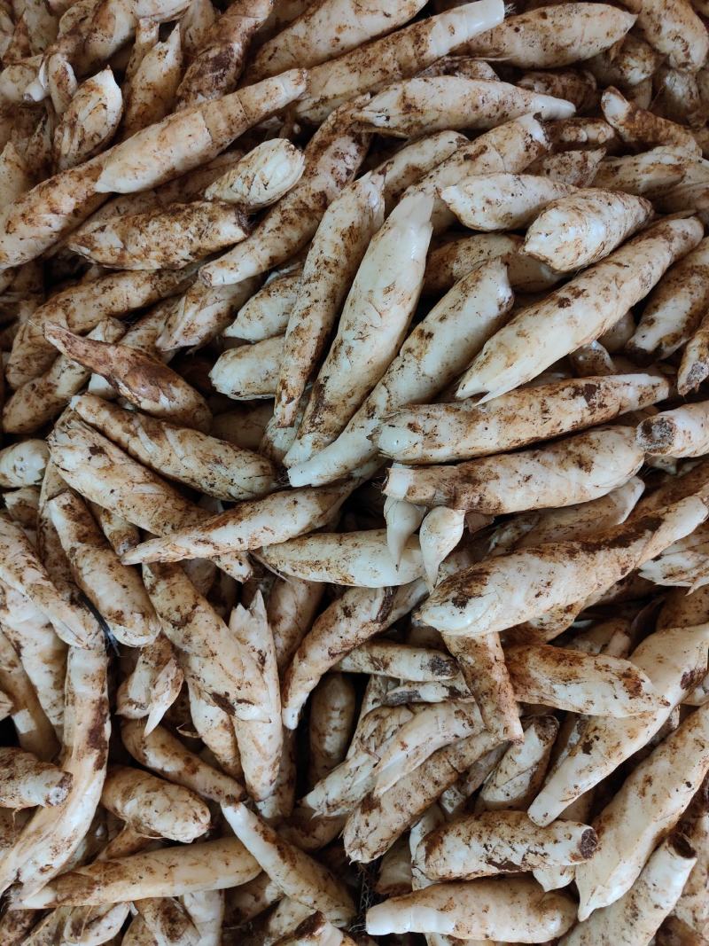 广东农家自种冬粉薯煲汤火锅