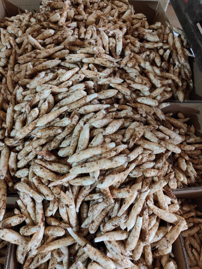 广东农家自种冬粉薯煲汤火锅