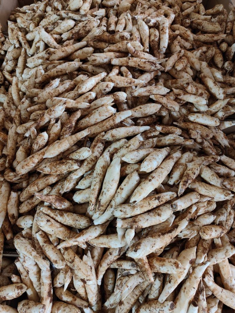 广东农家自种冬粉薯煲汤火锅