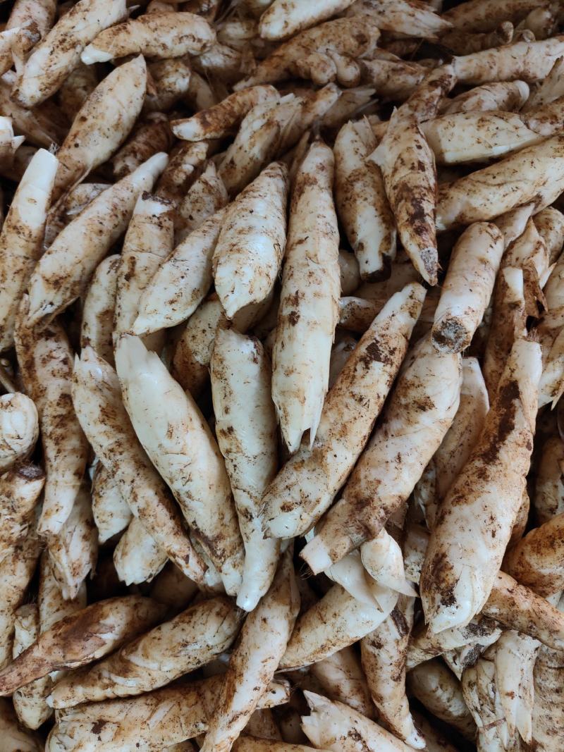 广东农家自种冬粉薯煲汤火锅