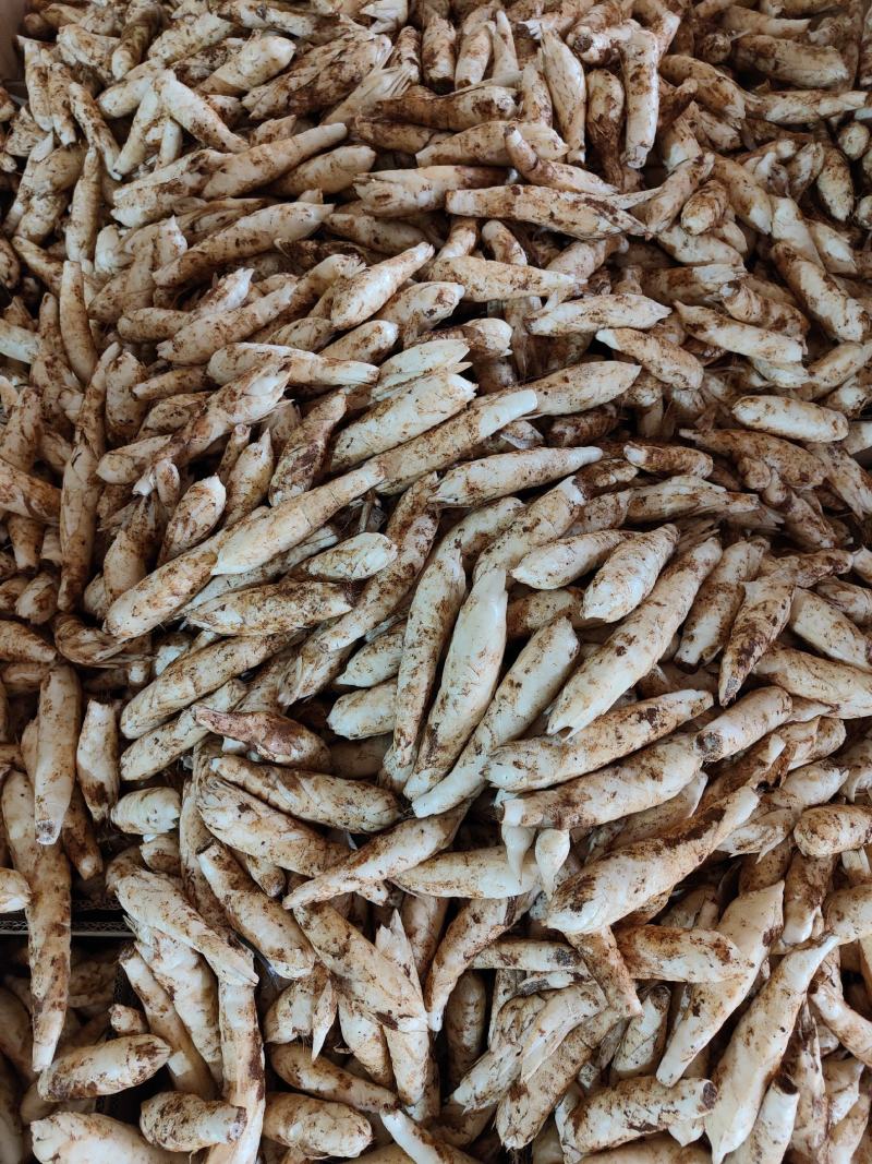 广东农家自种冬粉薯煲汤火锅