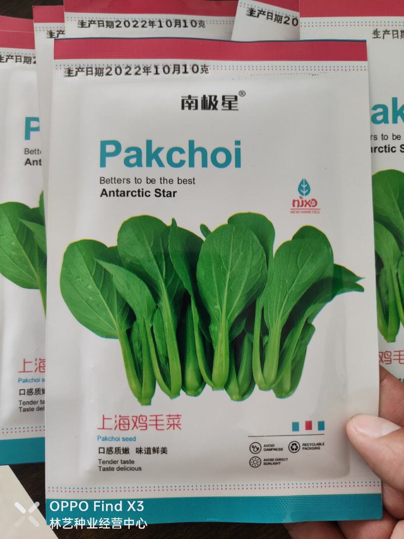鸡毛菜种子四季播种抗热耐寒蔬菜种子阳台盆栽易种小青菜籽