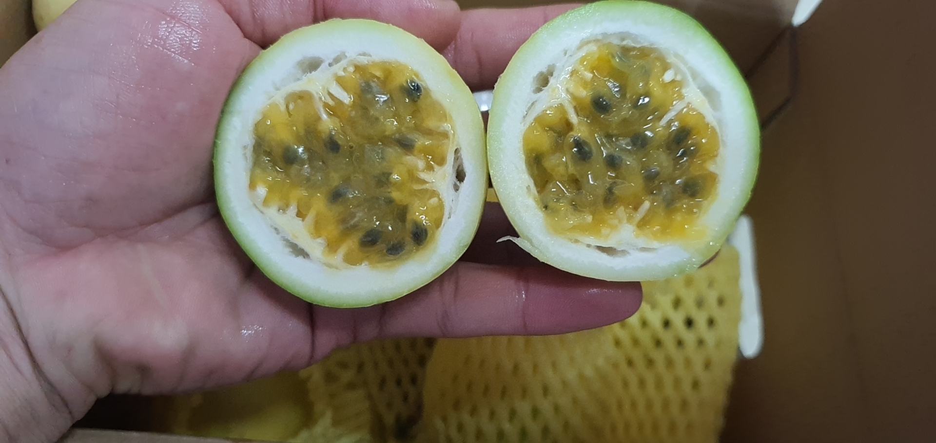钦蜜9号果肉剖面图