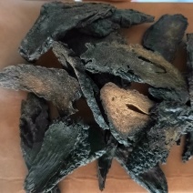 肉苁蓉硬片肉苁蓉个，硬大芸，肉苁蓉片，中药材肉苁蓉大云