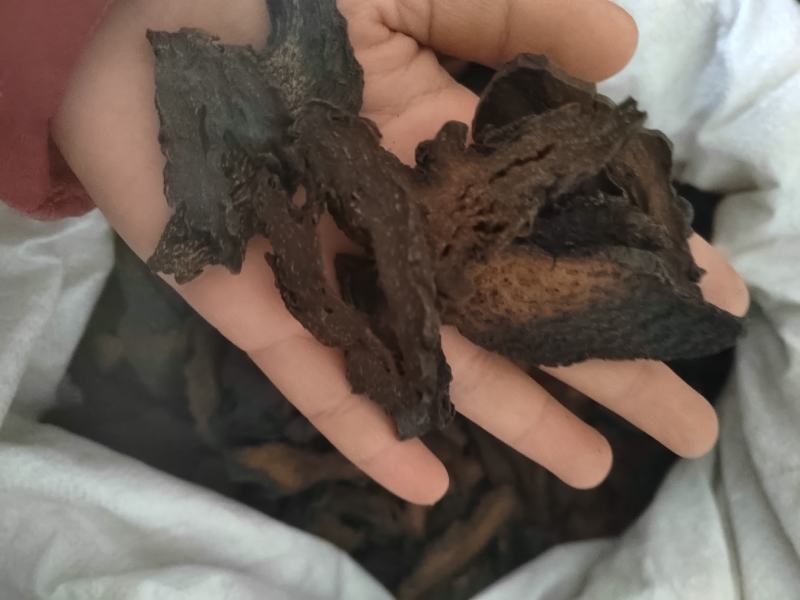 肉苁蓉硬片肉苁蓉个，硬大芸，肉苁蓉片，中药材肉苁蓉大云