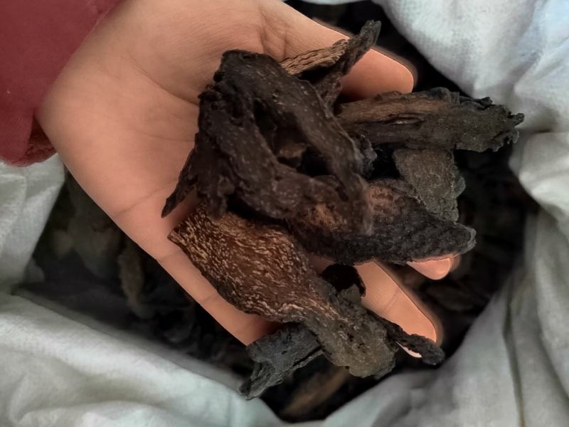 肉苁蓉硬片肉苁蓉个，硬大芸，肉苁蓉片，中药材肉苁蓉大云