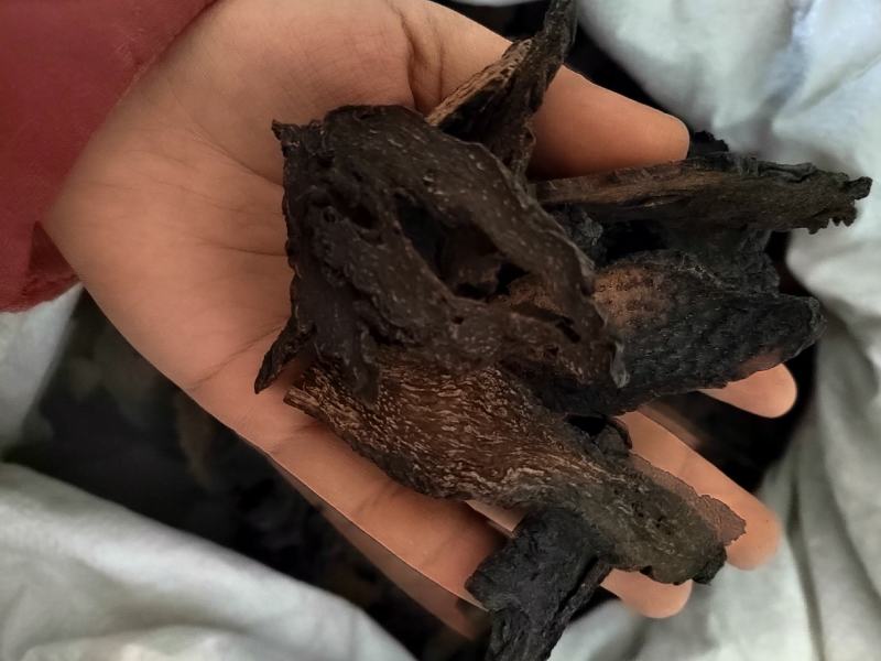 肉苁蓉硬片肉苁蓉个，硬大芸，肉苁蓉片，中药材肉苁蓉大云