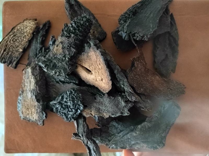 肉苁蓉硬片肉苁蓉个，硬大芸，肉苁蓉片，中药材肉苁蓉大云