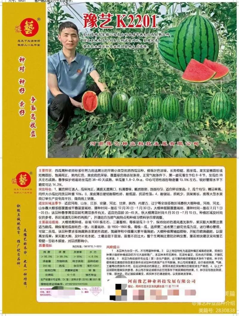 豫艺K2201小果型西瓜种子礼品西瓜种子早熟饱满周正14