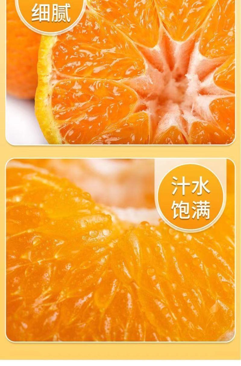 【一件代发】正宗四川春见耙耙柑手剥柑橘电商微商直播微商