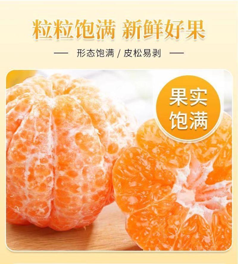 【一件代发】正宗四川春见耙耙柑手剥柑橘电商微商直播微商