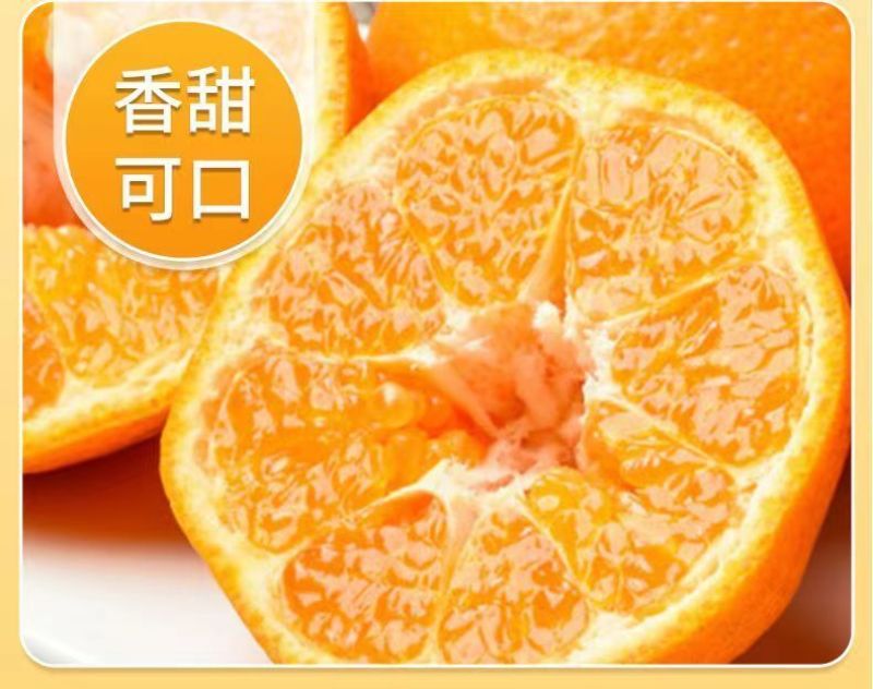 【一件代发】正宗四川春见耙耙柑手剥柑橘电商微商直播微商
