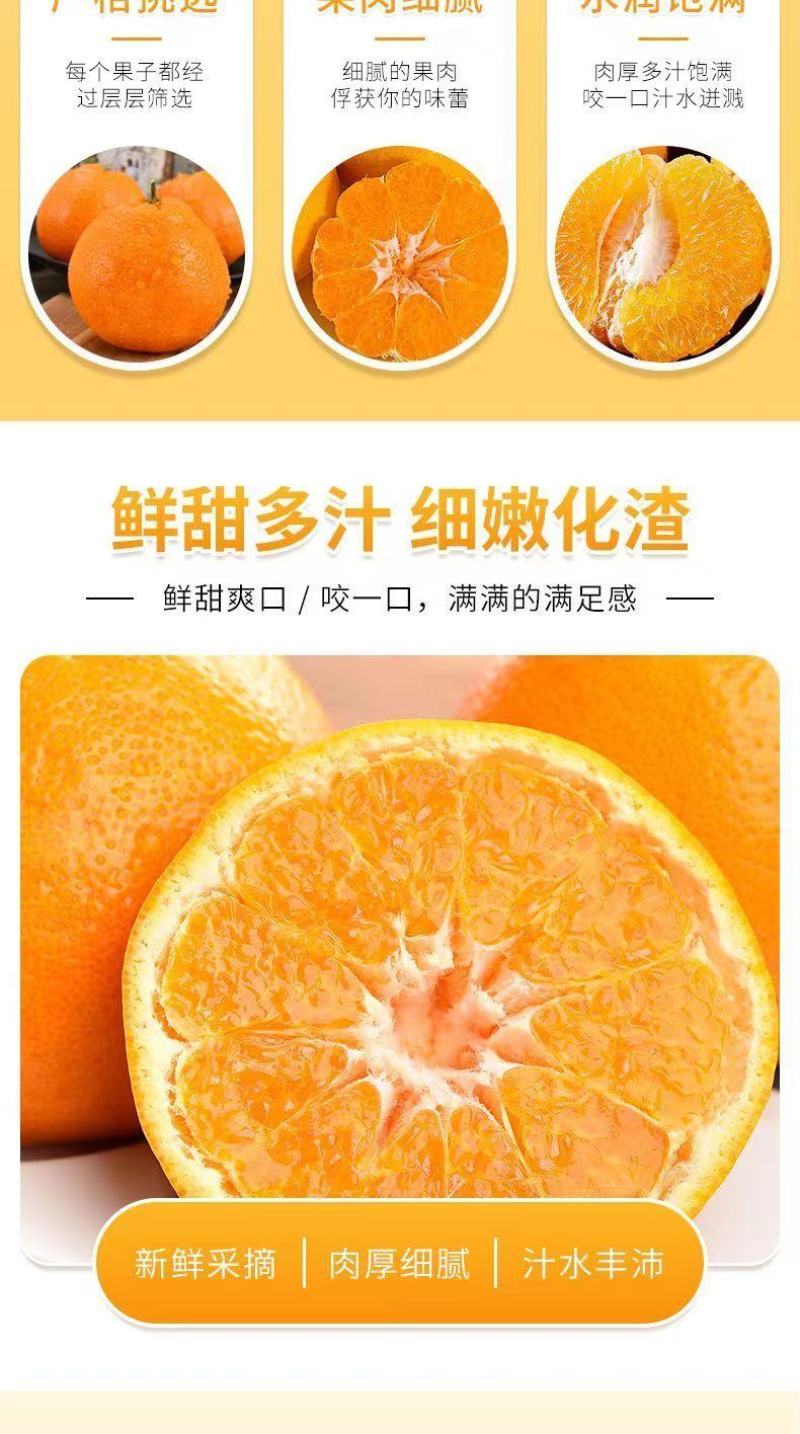 【一件代发】正宗四川春见耙耙柑手剥柑橘电商微商直播微商