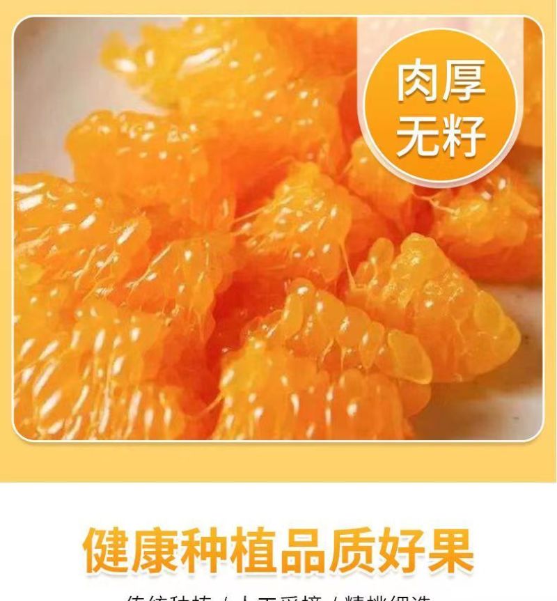 【一件代发】正宗四川春见耙耙柑手剥柑橘电商微商直播微商