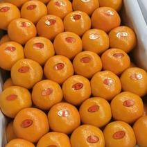 云南蜜橘，一手货源，对接电商，市场，社区团购，外贸出口，