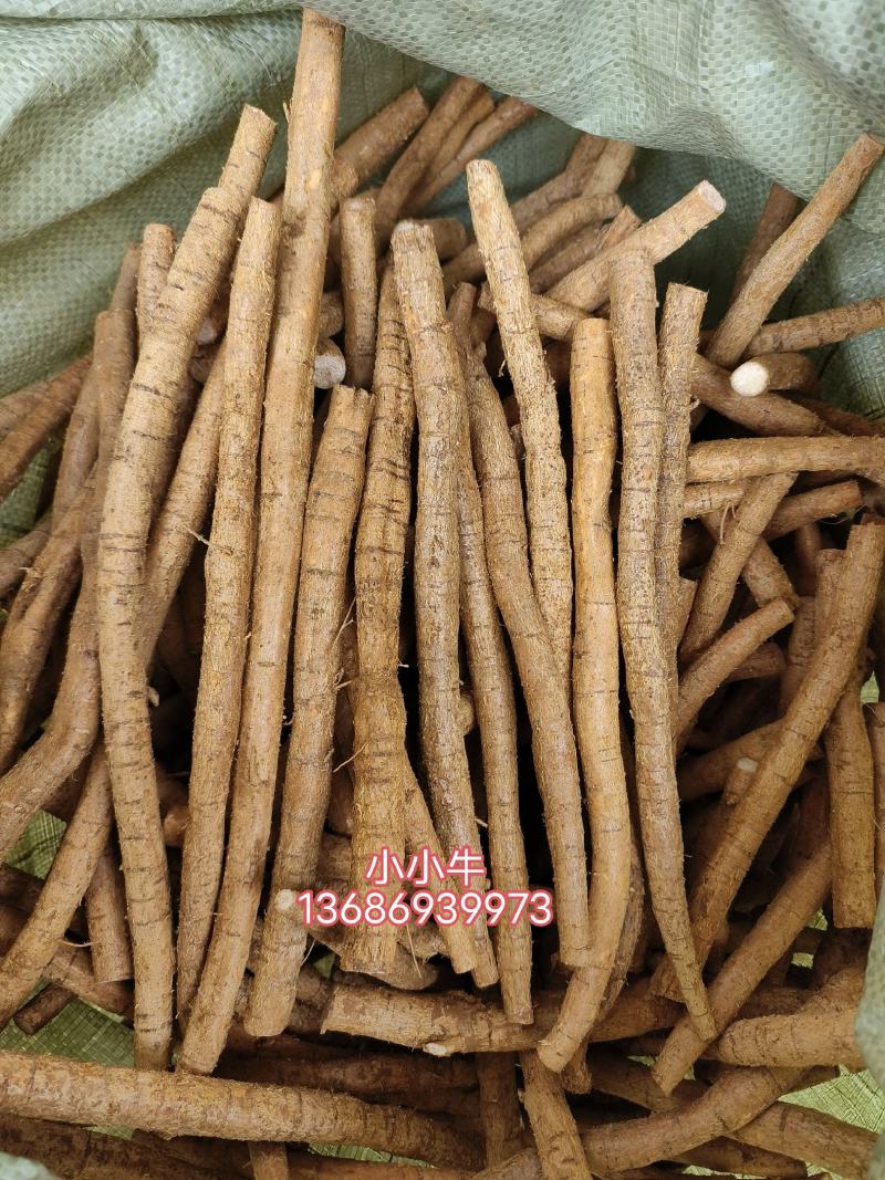 黄皮老身大叶牛大力现货，小小牛批发价11元一斤