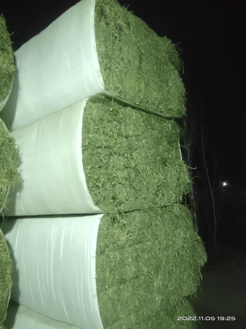 甘肃加密包苜蓿草一袋460公斤，甘肃玉门货源一件代发货