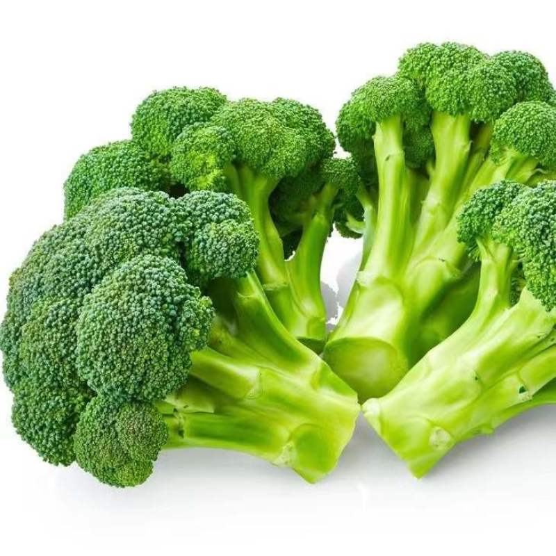 【实力】产地西兰花正在上市中，个头均匀，色泽青秀质优价廉
