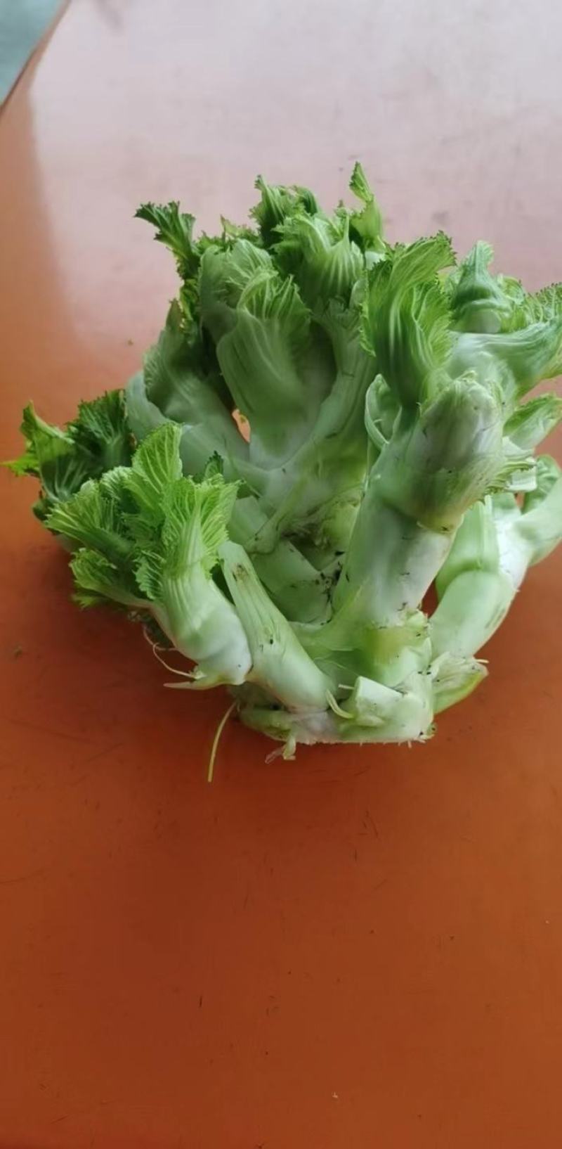 原产地四川省大邑县大心儿菜，现摘现发