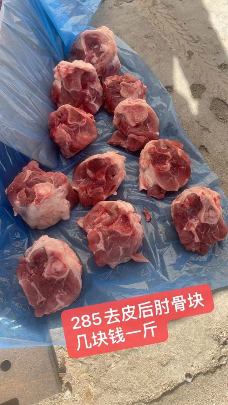 多肉肘骨块