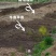 【一件代发】高山之猕TM/高山晚采徐香-特级高山晚采徐香