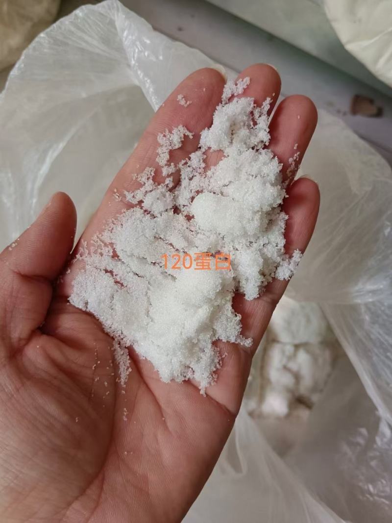 120融水蛋白