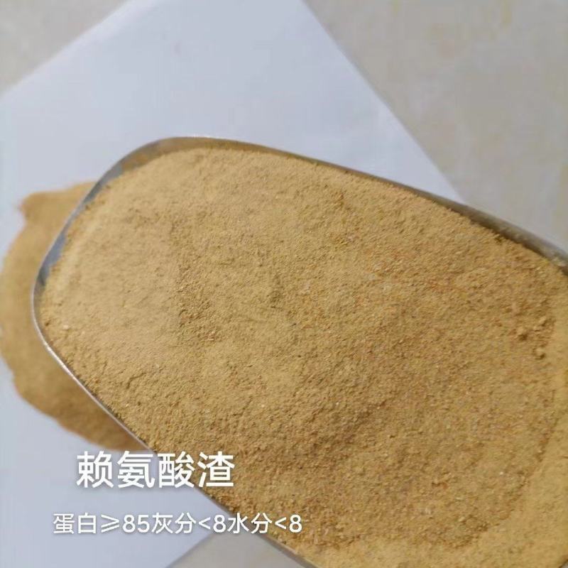 赖氨酸渣