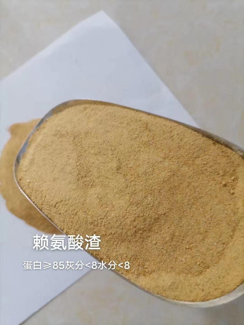 赖氨酸渣
